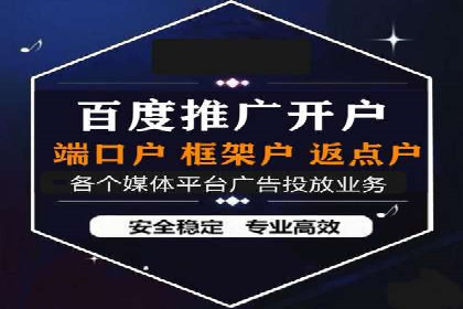 行业内的SEM竞价代运营公司优秀案例剖析
